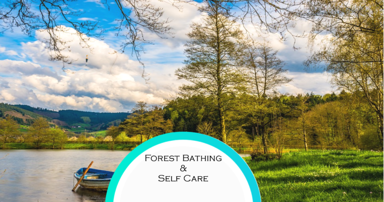 Self Care & Shinrin-yoku / Forest soaking